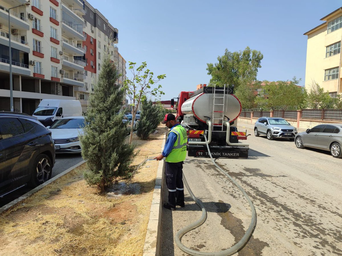 MardinBuyukshr's tweet photo. Şehrimizin Yeşiline Özenle Bakıyoruz 🌳💧 

Mardin Büyükşehir Belediyesi olarak, şehrimiz genelindeki ağaç ve fidanlarımızın sağlıklı gelişimini sağlamak amacıyla sulama, budama ve bakım çalışmalarımızı aralıksız sürdürüyoruz. https://t.co/9xh9JmjDSG