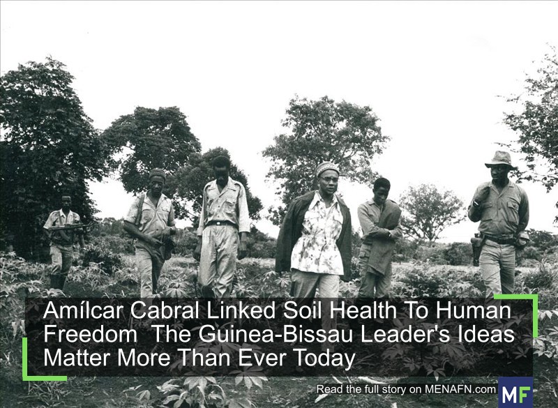 MENAFN's tweet photo. Amílcar Cabral Linked Soil Health To Human Freedom The Guinea-Bissau Leader's Ideas Matter More Than Ever Today #Amílcar #Cabral #Linked #Soil #Health #Human #Freedom #Guinea-Bissau #Leader's #Ideas #Matter #More #Than #Today #Vaccines #Pills #Doctor… https://t.co/p0SAUWsIAt https://t.co/QMCJFAOmyu