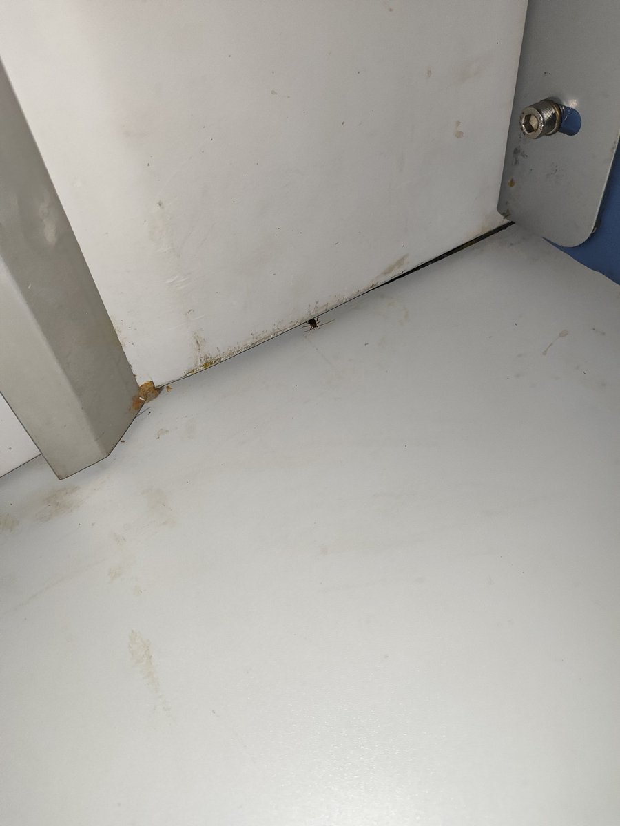 Ikashif706's tweet photo. Train no. 12562 B2 coach me jb me raat ko bistar karta hu to cockroach idhar udhar se nikalta hai. It is very dangerous,Oh indian Railways. 
@RailMinIndia
@AshwiniVaishnaw @RailMadad @IRCTCofficial @spjdivn https://t.co/8IuAsd7PdH