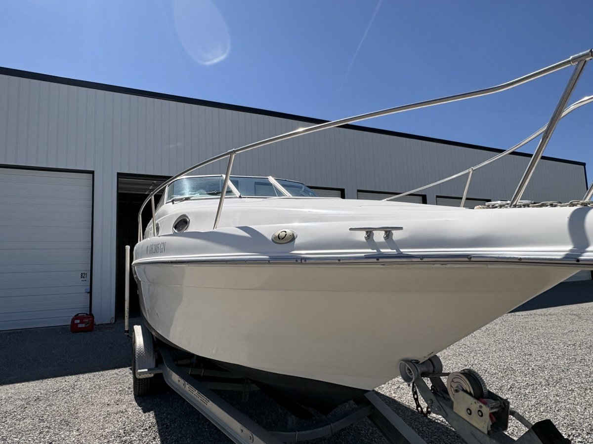 USBoatSales's tweet photo. Ad: For Sale - 1995 SeaRay 250 Sundancer 5.7 Merc Bravo 3 w/ tandem trailer https://t.co/j8ypBiQp5M <<--More #SeaRay #BoatSale https://t.co/2JYvecENFs