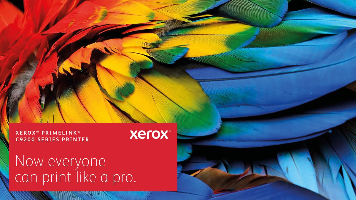 kyle_office's tweet photo. Get luxury detail at 2400x2400dpi with a Xerox PrimeLink C9200 Series Printer. See how LED print technology and precision imaging deliver clean gradients, smooth solids, and high-end finish to make your output stand out  https://t.co/b1QBShfe4z https://t.co/Nb0dnpcxbR