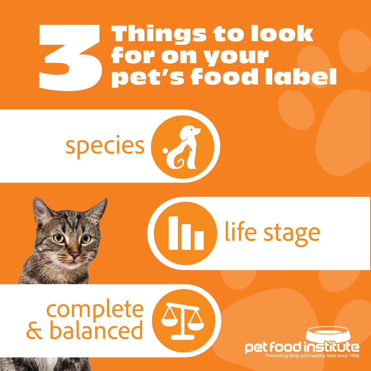 uspetfood's tweet photo. A pet food label is full of information to help pet owners make an informed decision about cat and dog food. When reading a label, start by looking for the species, life stage, and complete and balanced designation.

Learn more: https://t.co/aPsyPkiKE4 https://t.co/l44eQjARsC
