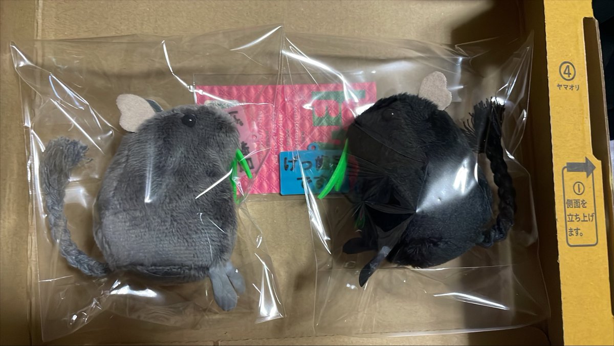 bleachlink2552's tweet photo. デグーのぬいぐるみ！来た〜
最初のデグー亡くなった
ショックもあって最近ぬいぐるみを
探してたん実はメルカリショップで
購入したコもいるけど🐿️体勢が
欲しくなってしまってw

今いる後輩デグーが
虹の橋に行くまではストレス
増やさない為にも生きてる
デグーはまだ飼う気持ちになれん https://t.co/XIkdRTlamU