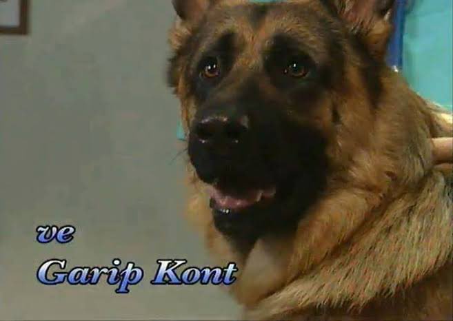 ecemmthegreat's tweet photo. 🚨ve Garip Kont is set to play Anya in season 2 of Heated Rivalry🚨 https://t.co/9Pu13h5HEz