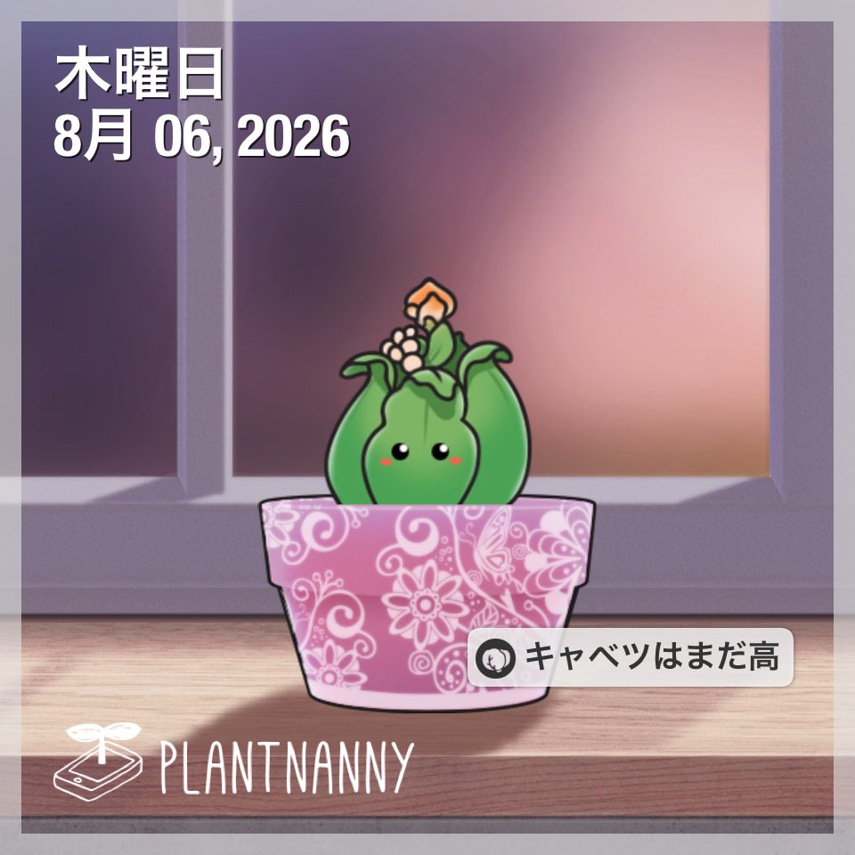 sakazin's tweet photo. 私の植物を見に来てください！それは合計水 13,500 ml を吸収しました。あなたも自分の植物をゲートしましょう～https://t.co/R3WPVto2TL https://t.co/avieqVXqo5
