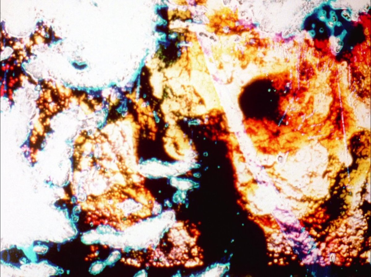 Monodie_'s tweet photo. I Take These Truths (1995) - Stan Brakhage https://t.co/r2RzpAZD0r