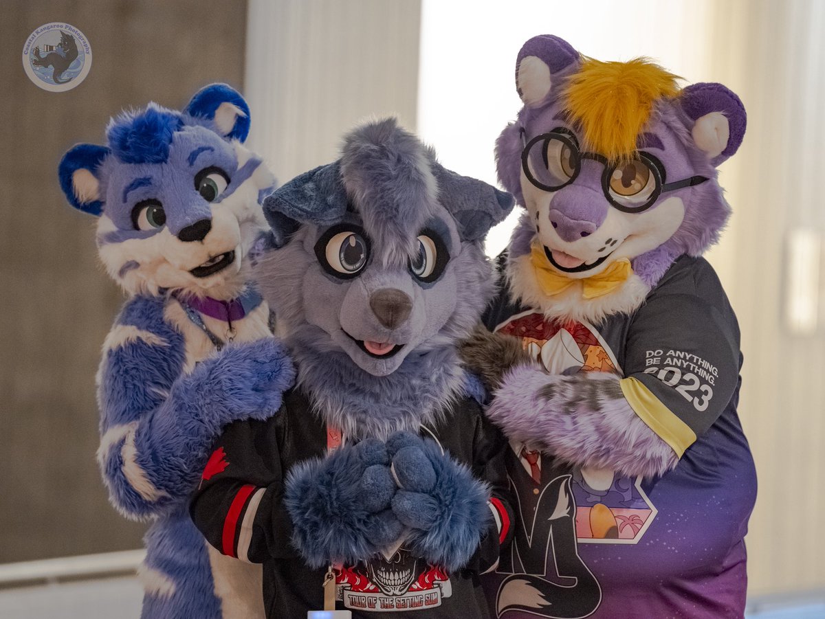 TybaricTiger's tweet photo. My fursuit turns 4 years old today! 🎉 I can’t express how much joy this fluffy boy has given me over the years. Countless hugs, many uppies, and tons of photos later, he’s still going strong, and I’m excited for even more great memories to make with you all as time goes on 💙 https://t.co/K0XgIAS1A3