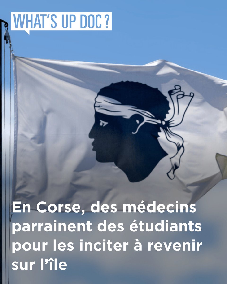 whatsupdoc_mag's tweet photo. L’URPS médecins libéraux de Corse propose un programme de parrainage à destination des étudiants en médecine. L’objectif est de conserver un lien avec ceux qui poursuivent leurs études sur le continent et de favoriser, à terme, leur retour sur l’île.
➡️ https://t.co/E3BuuuxHBI https://t.co/V0m8AB2brM