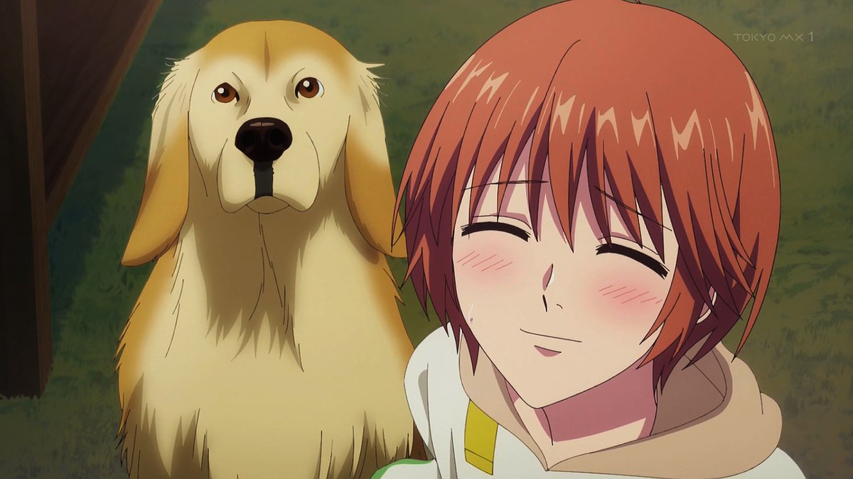 花ざかりの君たちへ(第2期) 第6話 ツイート画像 1