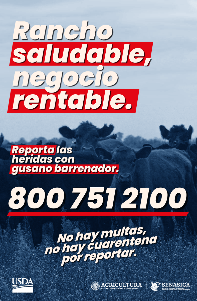 USEmbassyMEX's tweet photo. 😱¡Aguas con el gusano! 🪱 
Reporta las heridas con #GusanoBarrenador 🐂 y recibe ayuda especializada cuanto antes. Infórmate aquí: https://t.co/0gQMVEuliK https://t.co/IOOM0aD8sS