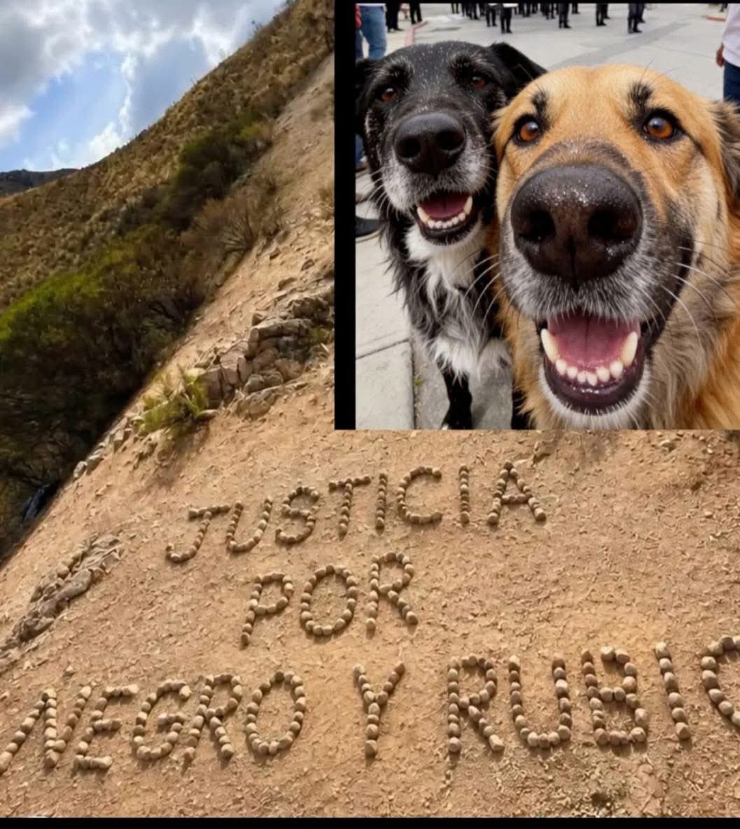 mavica7's tweet photo. JUSTICIA PARA NEGRO Y RUBIO. 
Unos turista hicieron esto tan hermoso en memoria de NEGRO Y RUBIO....
❤️❤️🌹🌹 https://t.co/nYw54nSKfX