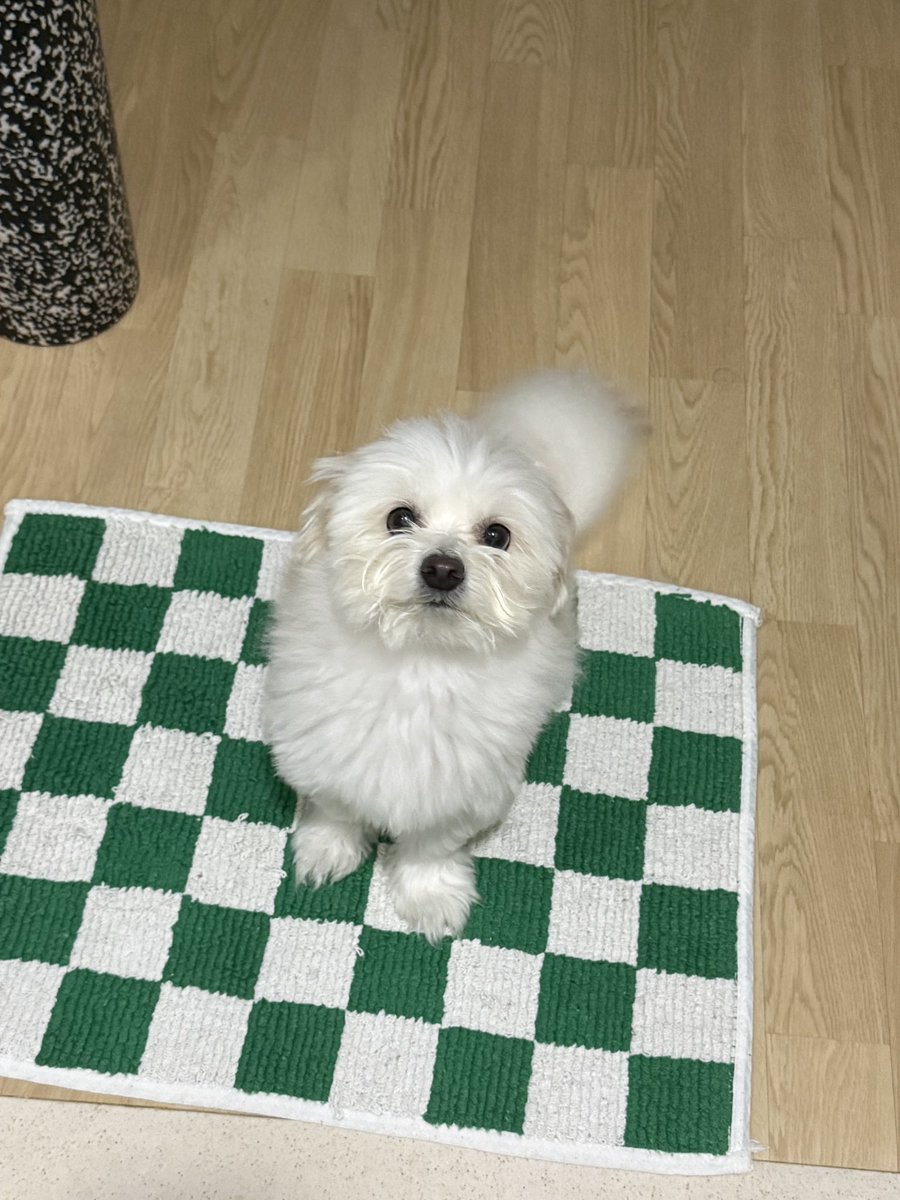 Noopppp_y's tweet photo. 부숭..부숭...의 수준을 넘어선 https://t.co/AzuKl0j9JB
