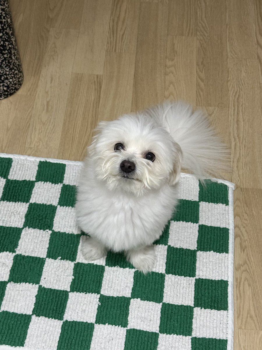 Noopppp_y's tweet photo. 부숭..부숭...의 수준을 넘어선 https://t.co/AzuKl0j9JB