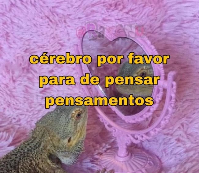 xheleninha's tweet photo. pfv véi https://t.co/VeybxxzRGL