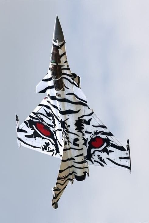 PulseDopplerRF's tweet photo. Show me any other fighter jet which has better liveries than rafale 🤤 https://t.co/wiM6hM3cg0