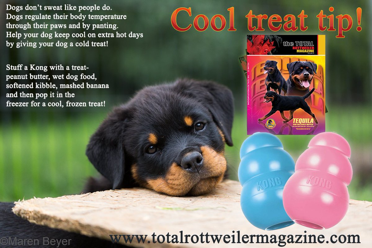 TTRMagazine tweet picture