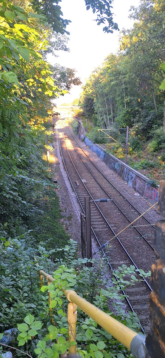 RevScraps's tweet photo. Fire Hazard Tracks, 3/8/26 https://t.co/VHsvqu4tVL