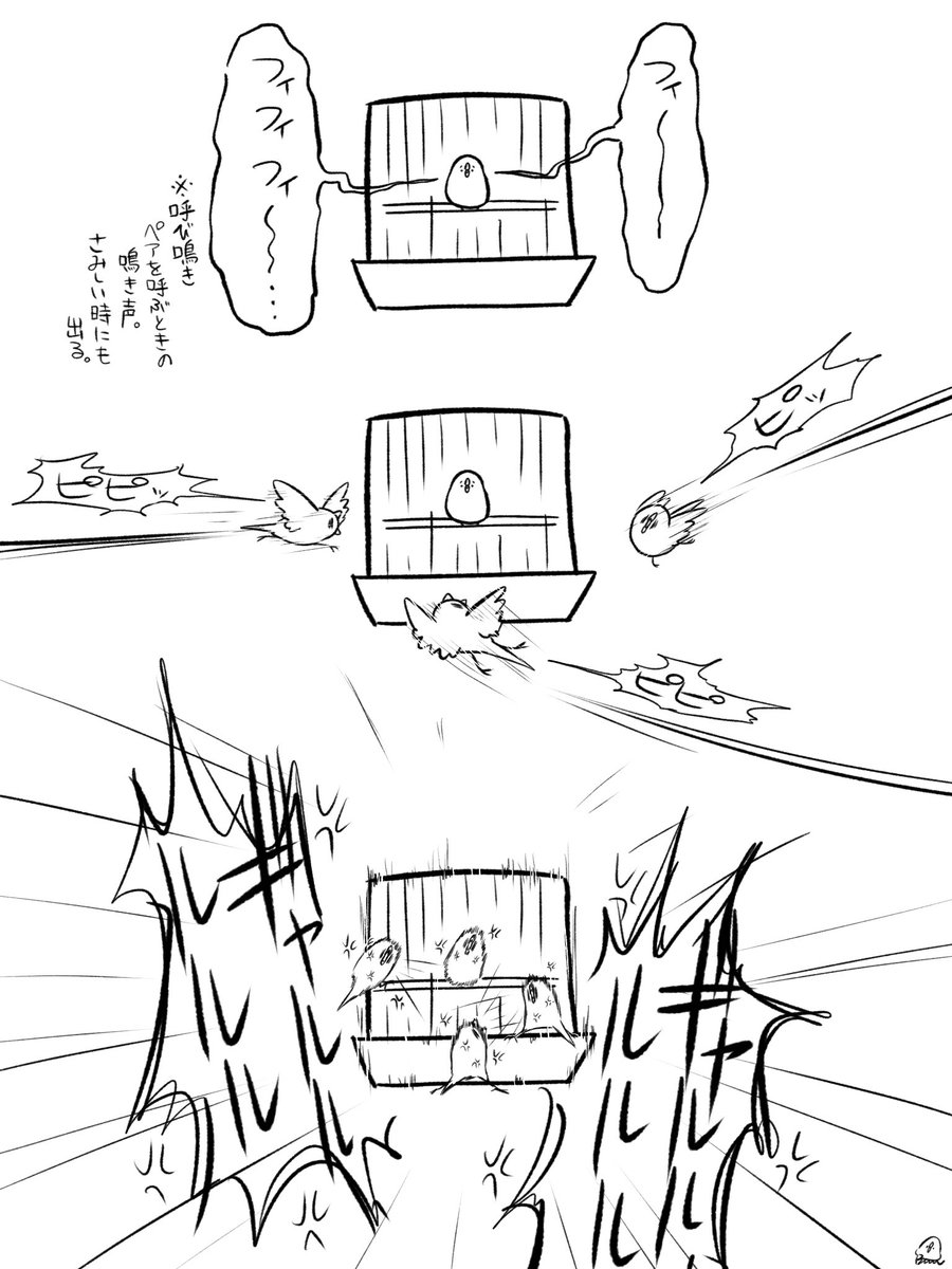 BuncheeAZ's tweet photo. 女の子が寂しがると駆けつけてくる文鳥男子たち。

だが慰めるよりライバルの排除が優先になる模様 https://t.co/cDpKXjQyl2