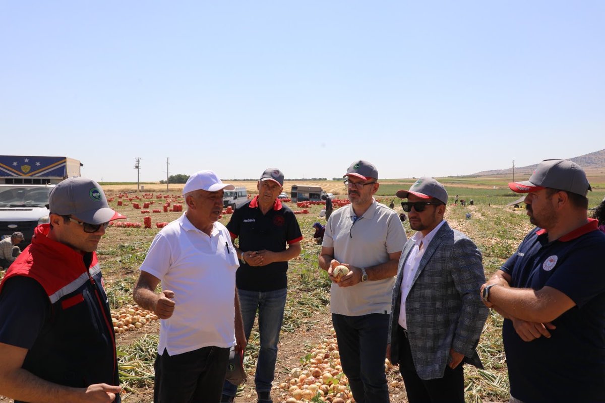 AKEskisehir26's tweet photo. İl Çevre ve Şehircilik Politikaları Başkanımız Abdullah Törü, Bitkisel Üretim Genel Müdür Yardımcısı İhsan Emiralioğlu, Strateji Geliştirme Başkanlığı Arz Daire Başkanı Salih Sınıkçı ve beraberindeki heyet ile birlikte Eskişehir'de soğan üretimi gerçekleştiren üreticileri sahada ziyaret ettiler.