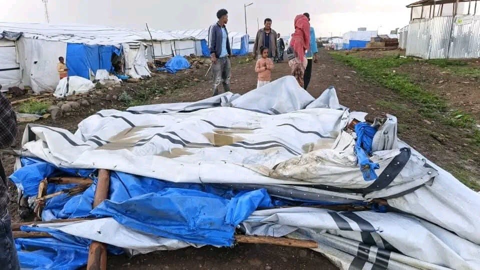 addisstandard's tweet photo. In #Tigray, heavy rain, strong winds destroy more than 20 shelters at #IDP site, injure residents

More than 20 temporary shelters at the "70 Kare" (Seba Kare) Internally Displaced Persons (IDP) center in Tigray were completely destroyed after heavy rain and strong winds struck the site on 04 August, according to the Western Tigray Civil Society Organization (Tsilal).

Speaking to Tigray TV, the center's coordinator, Zebenom Kidu, said the storm left the shelters uninhabitable, caused extensive damage to residents' belongings, and further worsened the already precarious conditions facing displaced families.

Zebenom said several people sustained injuries during the incident, including elderly residents, who were taken to nearby health facilities for treatment.

Describing the situation as an added burden for an already vulnerable population, he appealed to humanitarian organizations to provide immediate emergency assistance to affected residents.

In a statement, Tsilal said the destruction has deepened the humanitarian challenges confronting internally displaced people at the site and stressed that durable solutions remain urgently needed. The organization reiterated that the long-term resolution to the displacement crisis lies in creating conditions that allow displaced residents to return safely and voluntarily to their places of origin.