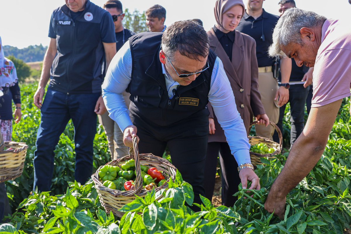 bilecikvaliligi's tweet photo. Valimiz Sayın Faik Oktay Sözer, coğrafi işaret tescilli Bilecik Kamber Biberi hasadına katıldı. 🌶️

Osmanlı döneminden günümüze kadar geleneksel yapısını muhafaza eden, hiç hibrit tohum kullanılmadan ata tohumu niteliğiyle yetiştirilen Bilecik Kamber Biberimiz; 1 Haziran 2026 tarihinde tescil edilerek coğrafi işaretli ürünlerimiz arasındaki yerini almıştır.

Geçitli Köyümüzde yaklaşık 50 üreticimiz tarafından 100 dekarlık alanda yetiştirilen; kalın etli yapısı, lezzeti ve kalitesiyle taze tüketimin yanı sıra dolmalık, kızartmalık ve turşuluk olarak yoğun ilgi gören Kamber Biberimizin tarladan sofralara uzanan bereketli yolculuğuna eşlik eden Valimiz Sayın Faik Oktay Sözer, üretim süreci hakkında bilgi aldı.

Hasat programının ardından köy meydanında vatandaşlarımızla bir araya gelerek sohbet eden Valimiz Sayın Faik Oktay Sözer, hemşehrilerimizin talep ve görüşlerini dinledi.

📍 Söğüt - Geçitli Köyü

@FaikSOZER