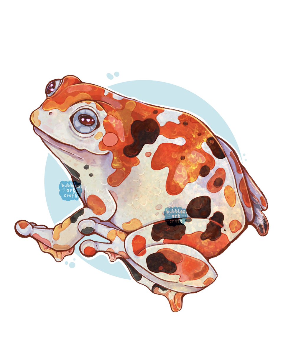 bubblesartcraft's tweet photo. happy koi frog https://t.co/ex2aZ6Bq0n