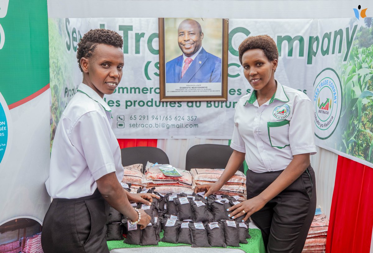 MagazineJimbere's tweet photo. 🅿️🌽 #SETRACO, leader dans la production de semences de maïs hybride au #Burundi depuis 2019, poursuit son ambition de renforcer l’autonomie du pays en matière de semences
🗓️ Lors de la 11ᵉ rencontre africaine réunissant 17 pays à @Bujaprov2025, sous le thème : "Faire progresser les écosystèmes d'incubation et d'accélération pour créer des opportunités d'emploi en Afrique", la Directrice Générale de SETRACO, Nimbona Yvonne, a présenté les réalisations de l’entreprise et son engagement à augmenter la production locale afin de réduire les importations de semences
🙏 Elle a remercié les partenaires @ISABU, @ONCCSBurundi, #COPROSEBU et @IFDCGlobal, ainsi que le @BMineagrie, pour leur accompagnement dans la recherche, la multiplication et la promotion des #semences
📢 SETRACO encourage les agriculteurs à soutenir les produits locaux et réaffirme sa volonté de collaborer avec les producteurs pour développer davantage la filière du maïs hybride au Burundi
#Jimbere