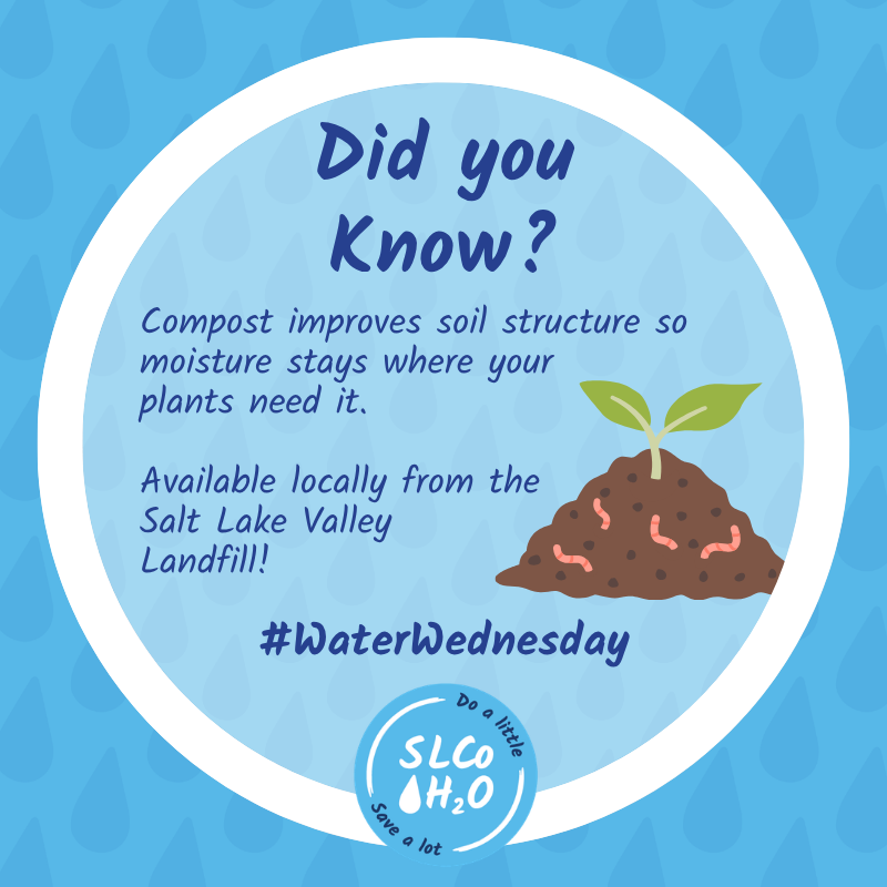 SLCoRegionalDev's tweet photo. 🌱 Healthy soil is one of the most underrated water-saving tools in your yard!

Adding compost improves soil structure so it holds water longer between waterings

Learn about certified compost available to residents at https://t.co/1qD8izTVaa https://t.co/NFlSBxbu5l
