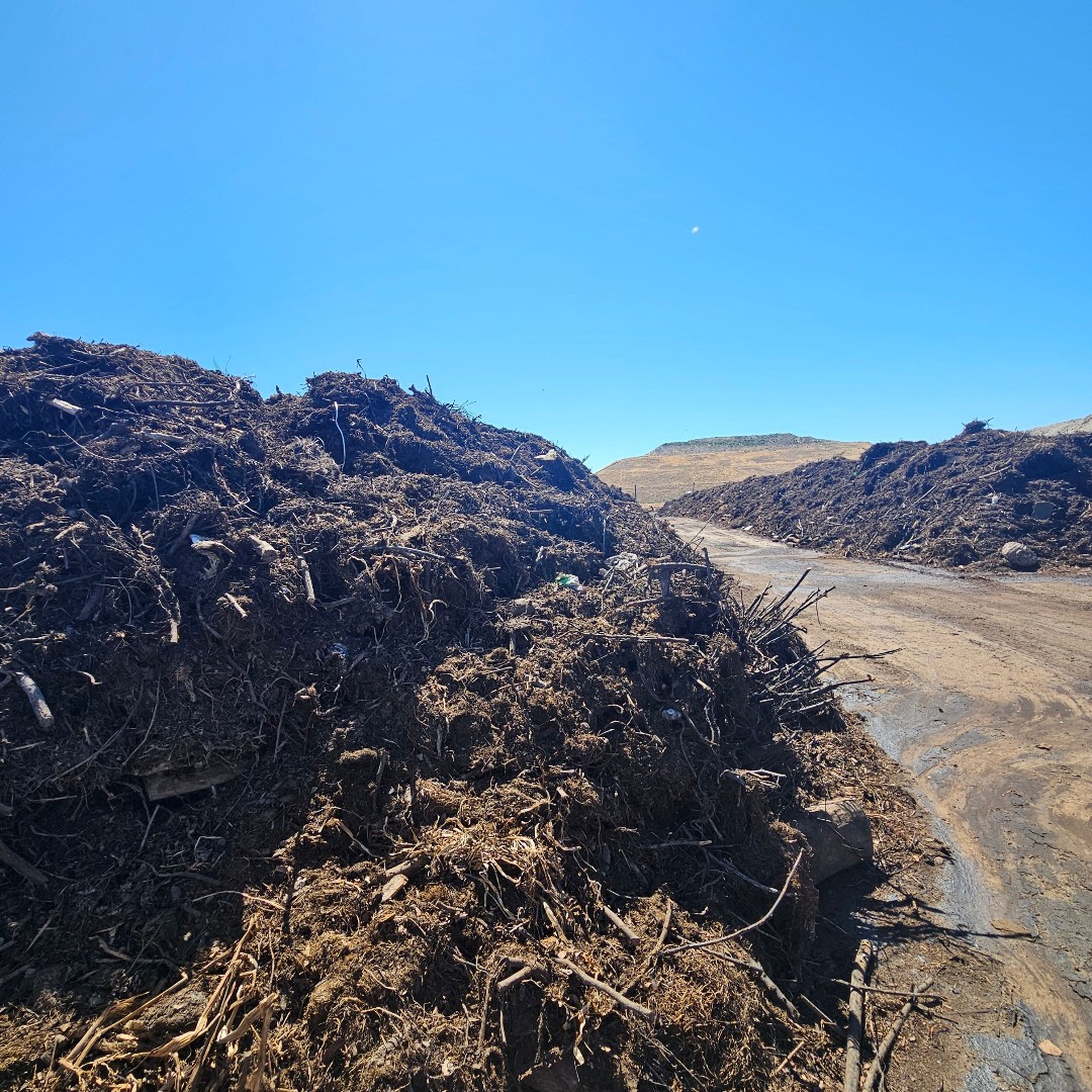 SLCoRegionalDev's tweet photo. 🌱 Healthy soil is one of the most underrated water-saving tools in your yard!

Adding compost improves soil structure so it holds water longer between waterings

Learn about certified compost available to residents at https://t.co/1qD8izTVaa https://t.co/NFlSBxbu5l