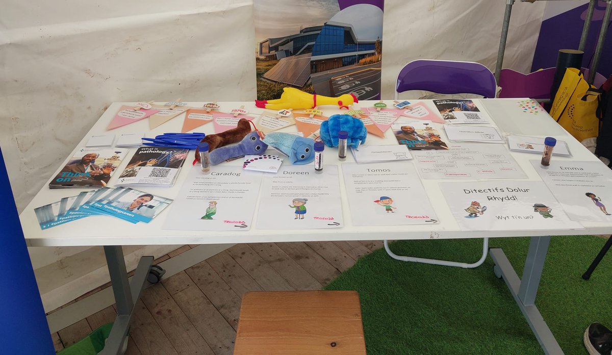 RCPath's tweet photo. Thank you to Professor Angharad Davies for representing the College at the 2026 National Eisteddfod last weekend. The activities on her stand in the Science and Technology Village, proved very popular with attendees. Thank you and diolch to all who were involved! https://t.co/JDotarEF2n