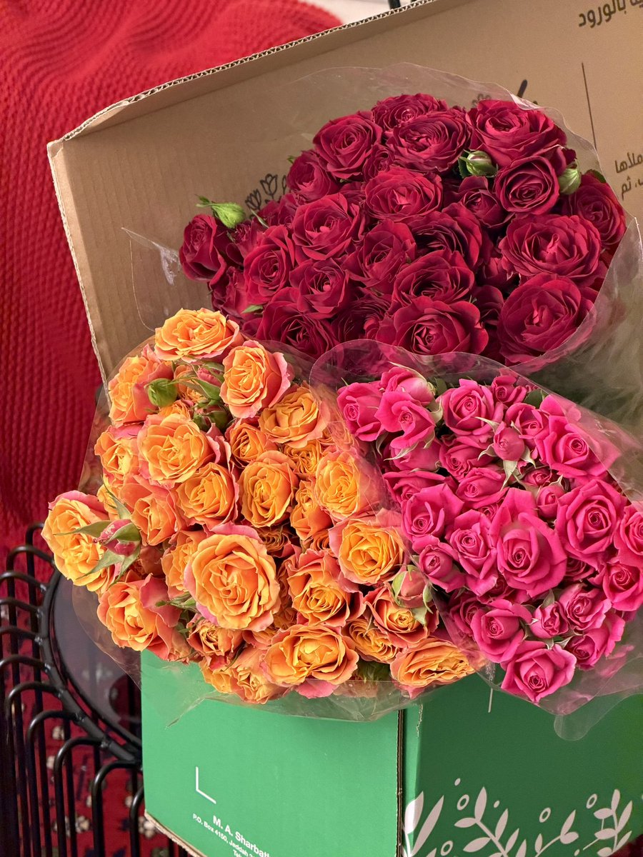 N_kez1's tweet photo. عندي أحن والطف زوج في الحياة
            ❣️❣️❣️❣️❣️ https://t.co/D9nYdGYpvQ