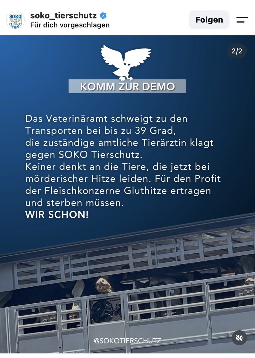 Petra599146's tweet photo. 🔥Bitte geht hin wenn Ihr vor Ort oder in der Nähe wohnt 🙏 
Jede laute Stimme zählt für die Tiere.
Es ist ein VERBRECHEN ❗️was diese Leute den Tieren antun🔥
https://t.co/23JQort64L https://t.co/gc7CsmnEaV