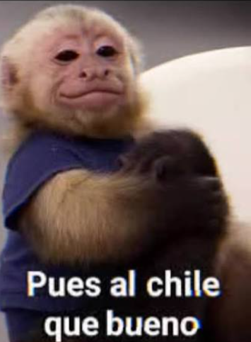 SPitt80's tweet photo. @c4jimenez @MetepecGobierno @GN_MEXICO_ https://t.co/GYJTuWUdNM