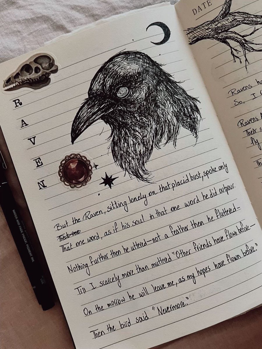 darkdreamvibe's tweet photo. https://t.co/Htc2QTriMY