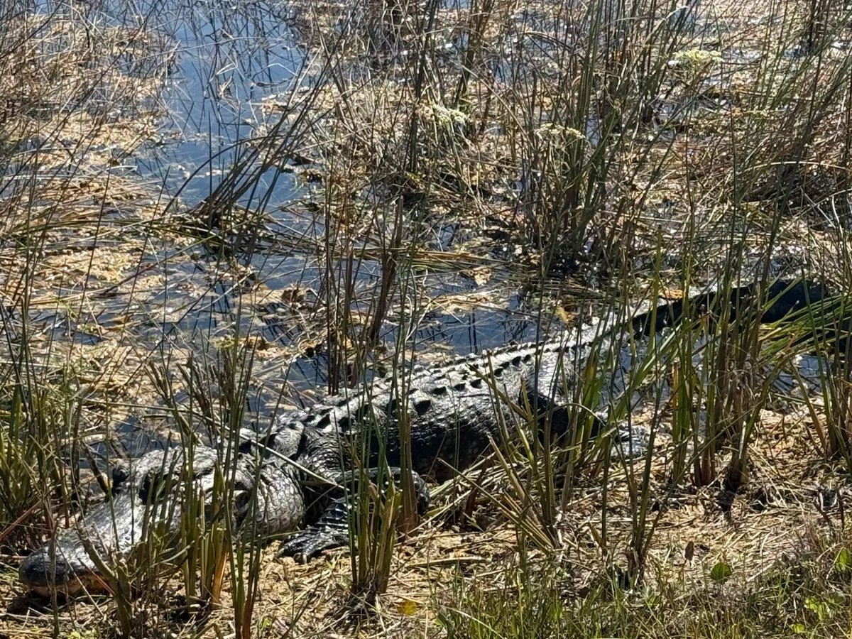Isoldemvo's tweet photo. It is a major feature of this city. https://t.co/6hFkk87UEQ