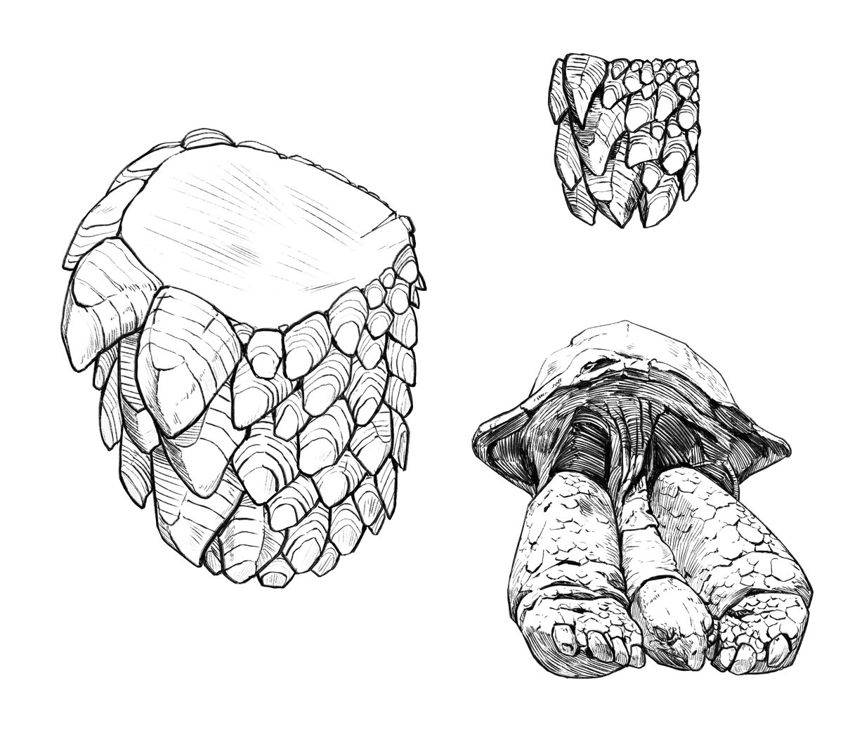 DariuszKielisz2's tweet photo. Textures Studies. https://t.co/gkN36XEGGJ
