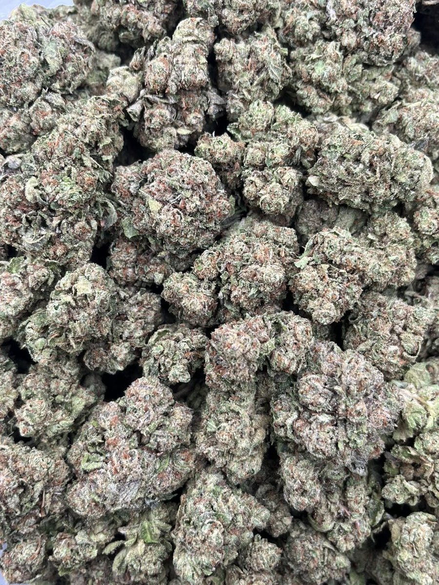stonerweed22's tweet photo. Lemon Cherry WarheadZ 🤤🍋🍒

📦$825 P
📦$775 5+
📦$725 10+
📦$675 20+
📦 50+ 📲

https://t.co/1HvWIZGiIV https://t.co/R2DMOlj00T