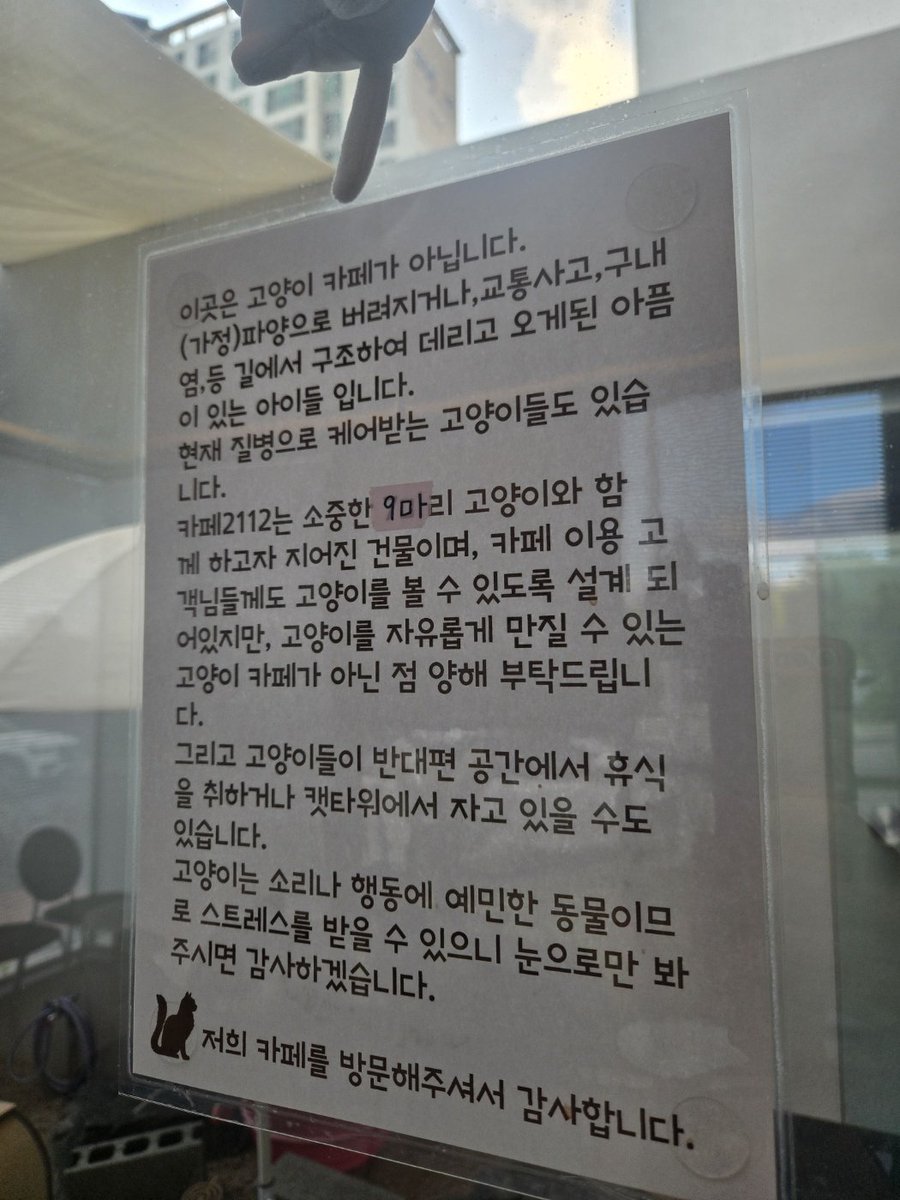 OLT_jeju tweet picture