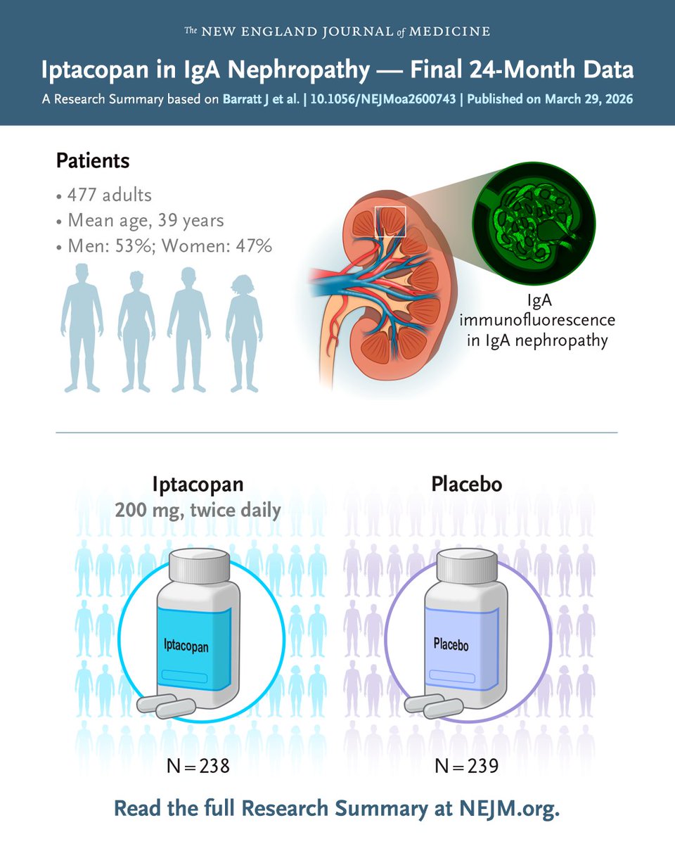 NEJM's tweet photo. Alternative complement pathway overactivation contributes to IgA nephropathy. In a placebo-controlled trial, iptacopan, a complement factor B inhibitor, significantly slowed kidney-function decline in patients with IgA nephropathy. Full phase 3 APPLAUSE-IgAN trial results and Research Summary: https://t.co/IV9x9IVa9S