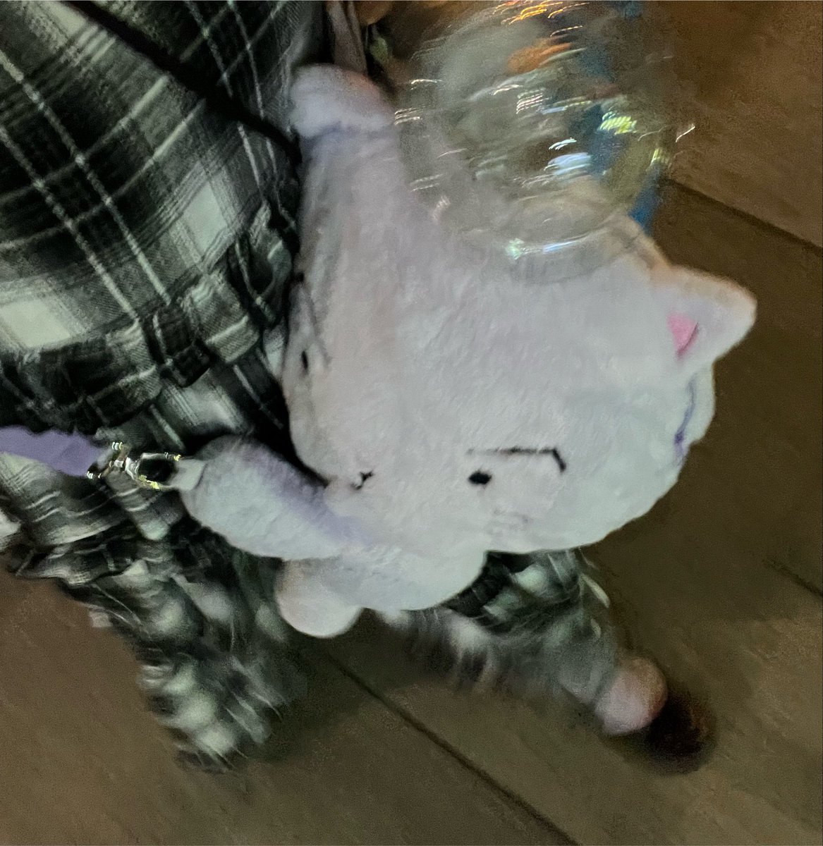 hello_the123's tweet photo. しがみつかれててまじかわいい
day1💜🫧 https://t.co/xDuHrcAzvs