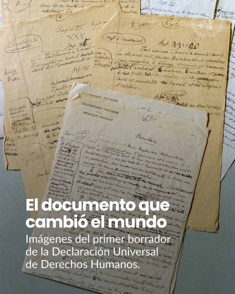 ONU_es's tweet photo. 📜 En diciembre de 1948, el mundo dio un paso histórico.

La Asamblea General de la ONU adoptó la Declaración Universal de Derechos Humanos.

Desde entonces, sus principios han inspirado décadas de avances en favor de la libertad, la igualdad y la justicia. https://t.co/IIfHIRcevZ