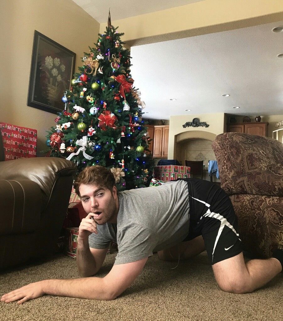 precumorpregame's tweet photo. I’m on Pinterest looking at bullshit #fatterinperson https://t.co/Z4330kMAiT