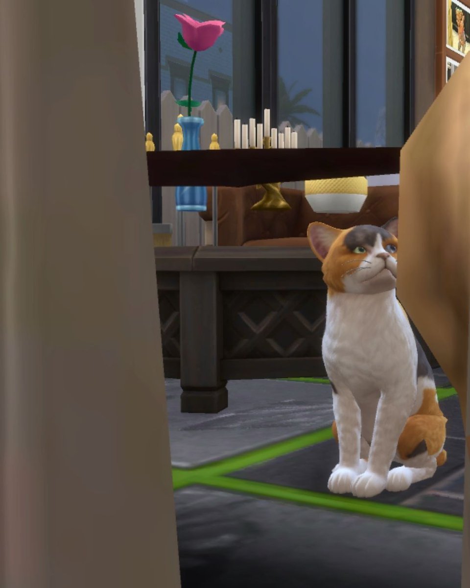 DuCouleur's tweet photo. Bienvenidos Mr. Buttery 🐱 y Jax 🐶 a dos familias de la Partida Privada. 💛 #thesims
💌 La tercera foto es la bendi (Hope) probando el mini mod Kids Can Jump On The Bed de #Meraki 💝
🎬 Si quieres seguir la historia de mi Partida Privada:
https://t.co/kqqIqVxQTc https://t.co/Dpm3crz8Xt