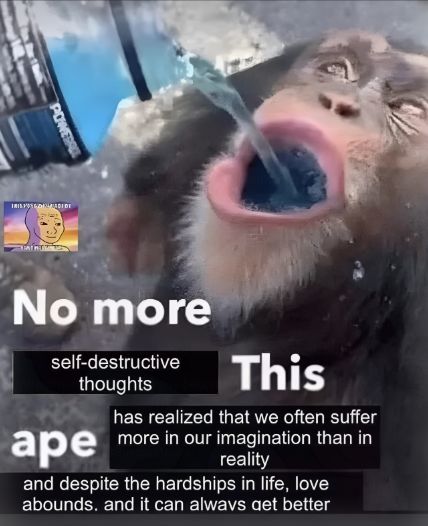 nocontextmemes's tweet photo. https://t.co/xXL3C7XdlB
