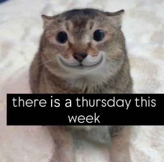 the47cat's tweet photo. https://t.co/yzyDCojj9Q