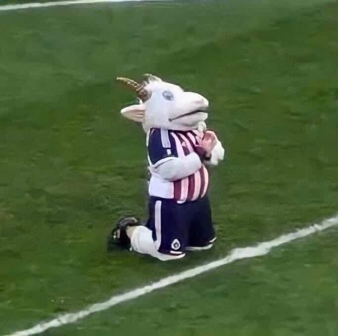teamoyiyiga's tweet photo. hoy juega chivas por favor dios que no pase nada malo https://t.co/Y6efJpQU10