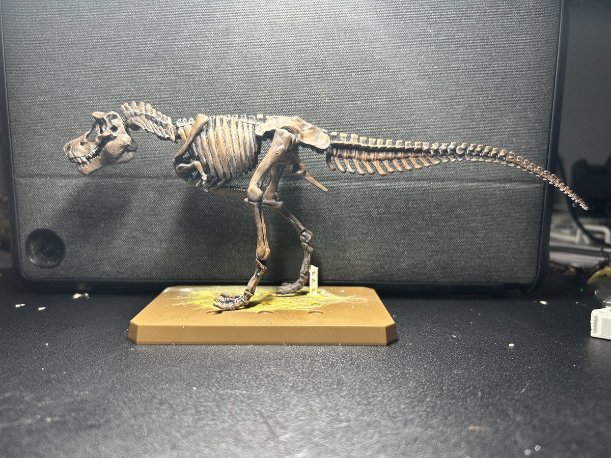 rex_sansAA555's tweet photo. ティラノサウルス(Sue、Stan方)でけた
次はティラノサウルス(Scotty、Holotype型)だ https://t.co/FZRDTSLl81