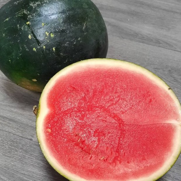 TheExiledMedic's tweet photo. Wassermelone ohne Kerne? Herzlichen Glückwunsch, du bist gerade Teil des Systems.

Trauben ohne Kerne. Wassermelonen ohne Kerne. Papayas ohne Kerne.

Alles wird als "bequemer" verkauft. Als "moderner". Als "kundenfreundlich".

So ein Schwachsinn.

Fangen wir an mit der Gesundheit:

In den Kernen stecken die wertvollsten Stoffe der ganzen Frucht. OPC (Oligomere Proantocyanidine) in Traubenkernen. Wassermelonenkerne voll mit Zink, Magnesium, gesunden Fetten. Aprikosenkerne mit Substanzen, die tatsächlich gegen Krankheiten eingesetzt werden.

Alles weg. Weil du "keine Kerne magst"?!!

Aber jetzt kommt der eigentliche Skandal:

Früher hatte jeder Bauer seine Kerne. Sie werden jede Jahr aufs Neue gesammelt, getrocknet, gepflanzt. Ökokreislauf.

Heute muss jeder Bauer seine Kerne jedes Jahr NEU kaufen. Patentiert 🤣

Weil deren Frucht keine keimfähigen Kerne mehr hat.

100% Abhängigkeit. 100% Kontrolle. 100% Konzernmacht.

Und du kaufst das und denkst, du machst dir gerade das Leben einfacher.

Du machst der Industrie das Leben einfacher.

Folge mir für mehr solcher Themen 💡
