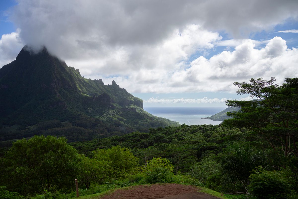 PostcardsDaily's tweet photo. Tahiti, French Polynesia
Green volcanic ridges descend to black sand shores
#Tahiti #travel https://t.co/rbzs0UdjgI