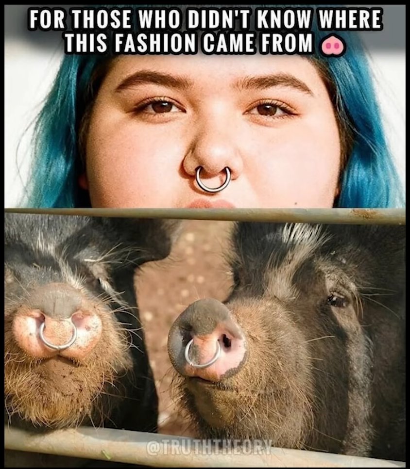 LGooork's tweet photo. "All animals are equal, but some animals are more equal than others" -George Orwell, Animal Farm https://t.co/STXrg6PWsi